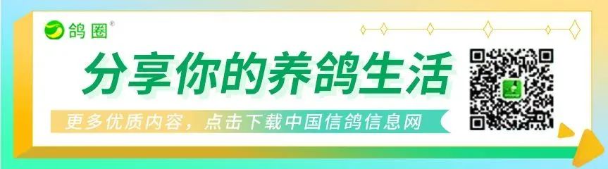 学习成绩经验心得_成绩心得怎么写_成绩心得体会怎么写300字