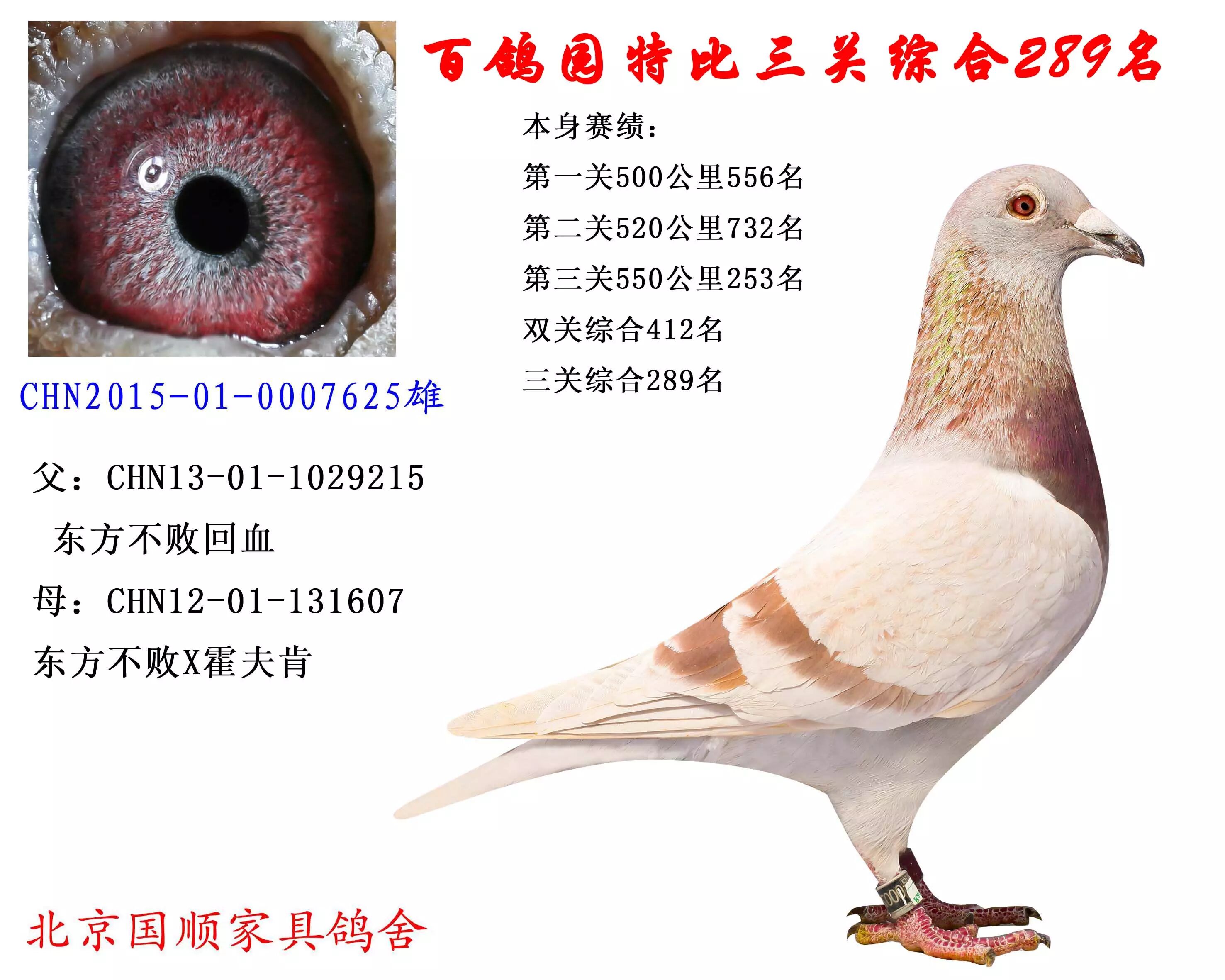 北京国顺家具潘绍祥 17年第二十二场拍卖会