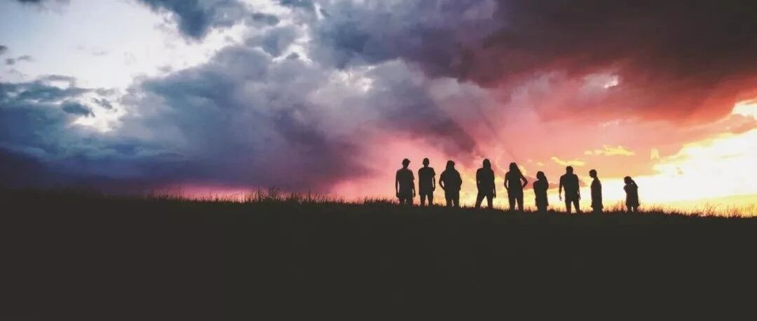 认知水平越低，人越固执（深度好文）