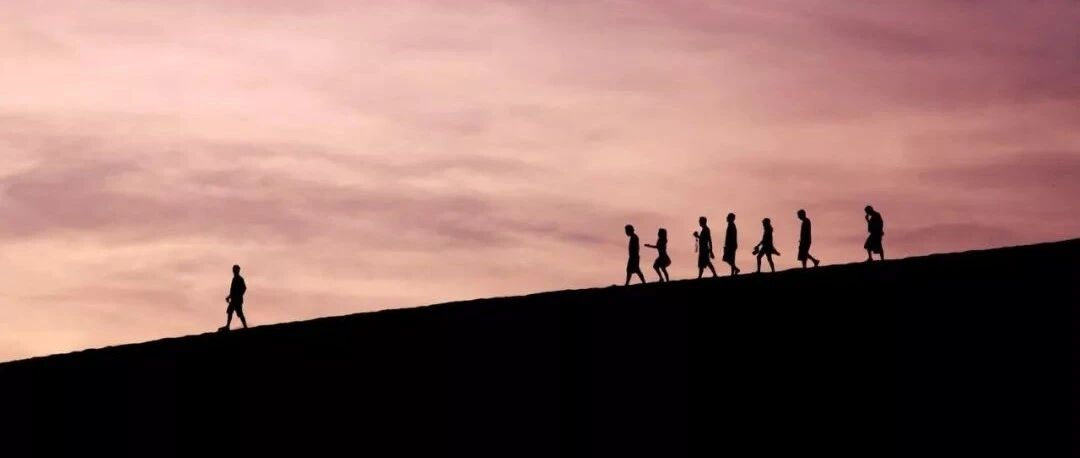 真正拉开人与人之间差距的，不是情商，不是智商，而是……