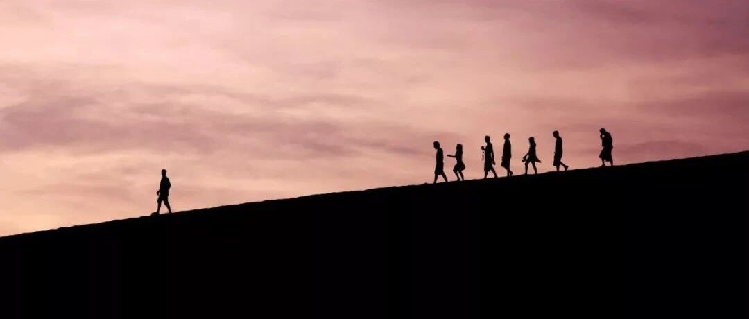 成年人最顶级的社交格局