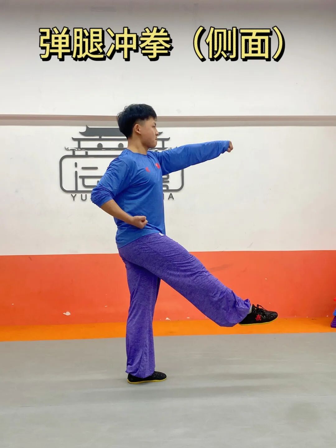 弓步冲拳:成左弓步,左手向左平搂收回腰间抱拳;冲右拳,目视前方;左