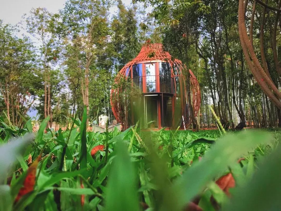 【广州】普吉岛网红酒店360°复式玻璃秘境房，惊现广东最美森林营地，仅499元/套=秘境/房车二选一+早餐+门票等，全年有效！