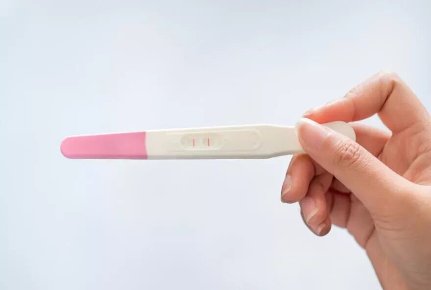 干货满满(假怀孕的验孕棒图片一条)假孕验孕棒 第6张