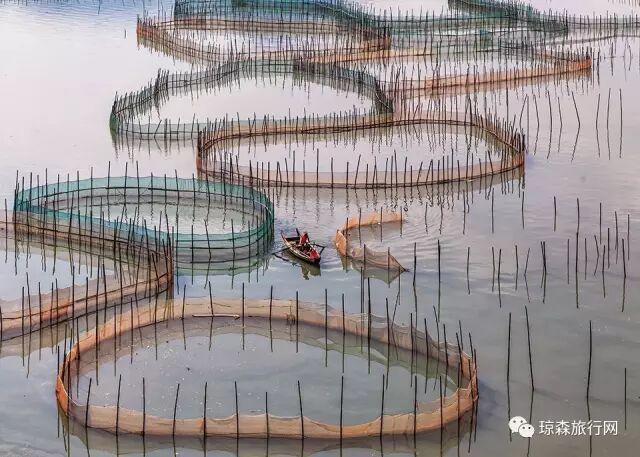 19福建霞浦滩涂4日深度摄影之旅 第三期 12月9 12日 报名进行中 琼森旅行网 微信公众号文章阅读 Wemp