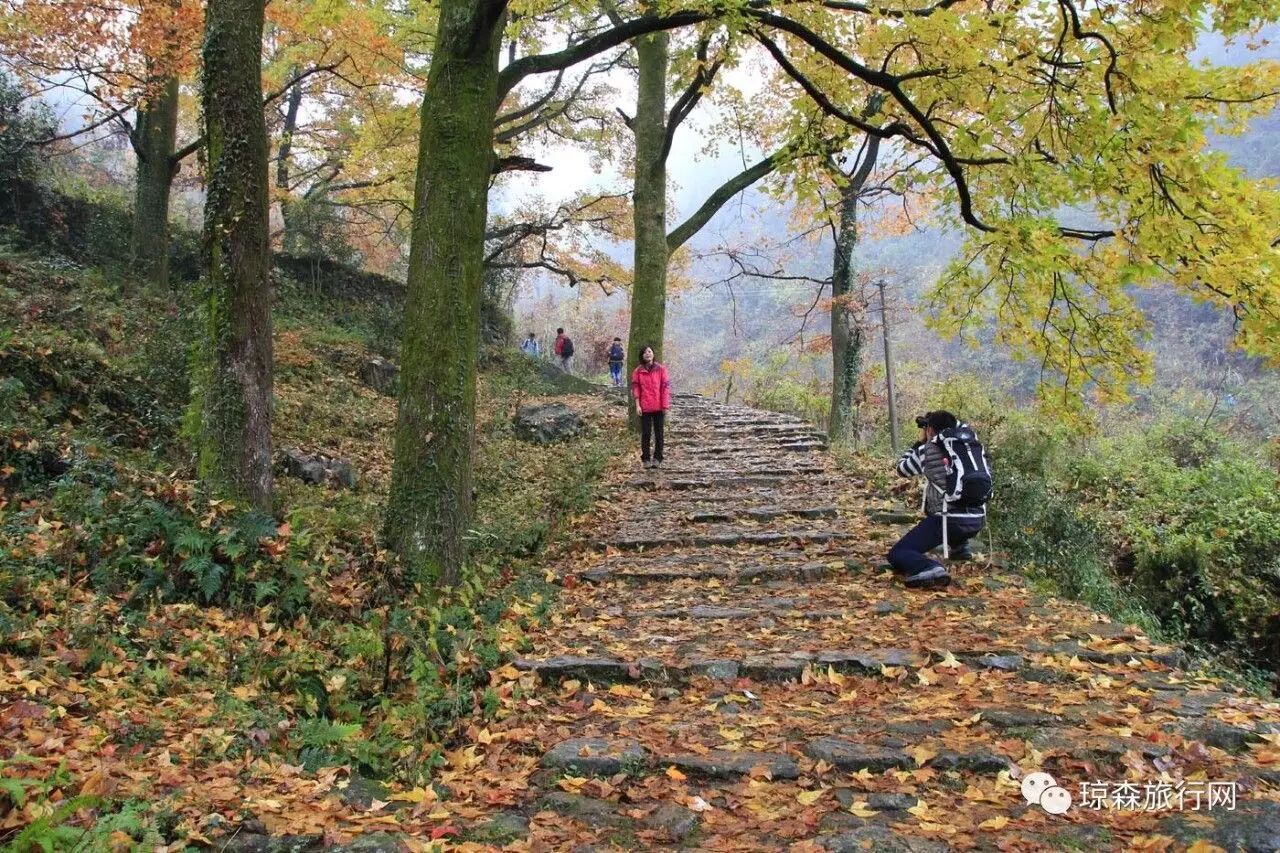 古道赏秋2017浙江天台黄南古道琼台仙谷国清寺徒步休闲摄影游11月2526