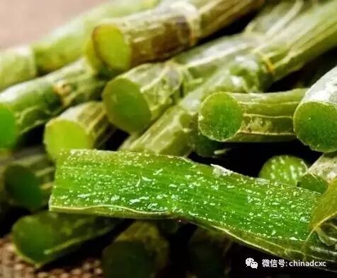 肠胃病很难治，但坚持吃它，很多人都治好了！