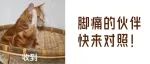 收藏 | 走也疼站也疼，如何拯救我们的脚？常见脚痛详解来了→