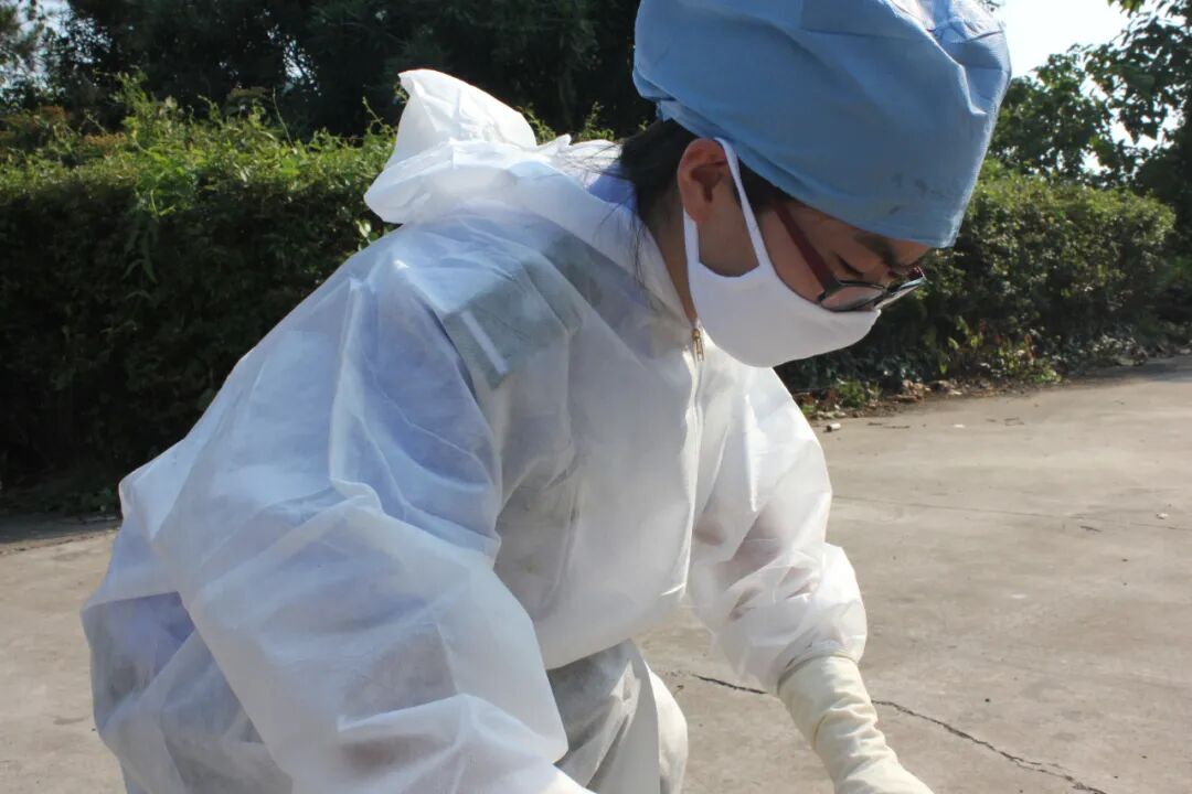 龙游唯一这名女法医真飒