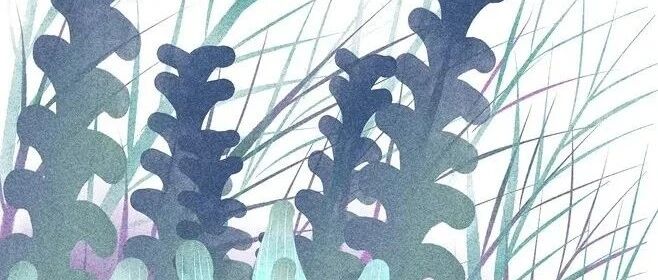 太清醒，太理智，注定经受孤独的三个星座，格格不入，是唯一的路