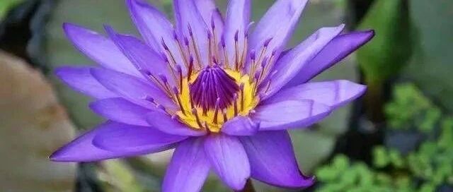 看似无情，实则有情的星座，容易被别人的付出感动