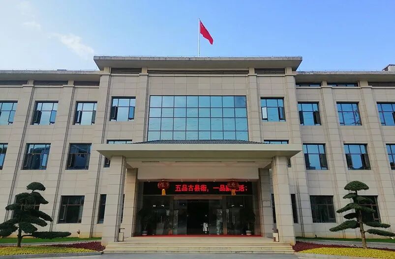 朗域视觉科技-朗域标识