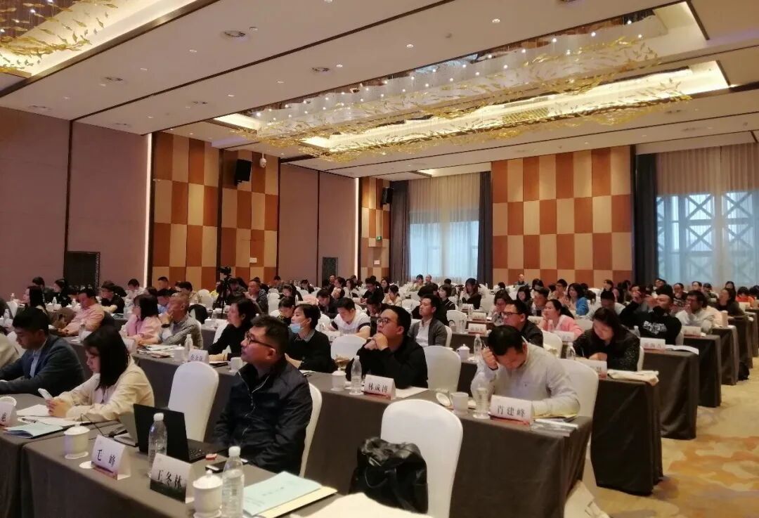 朗域视觉科技-朗域标识