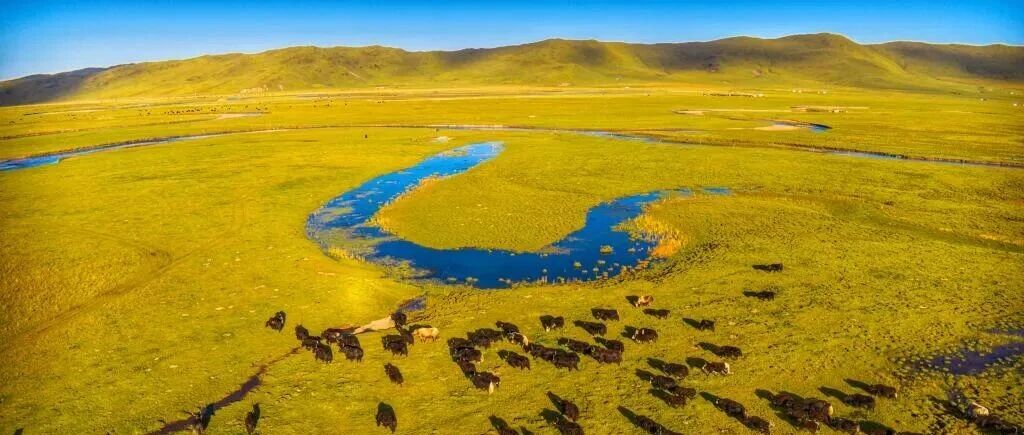 诗声音|每个夜晚的天空 诵:李承哲