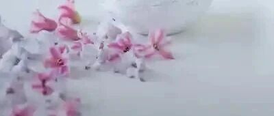 诗声音|傍晚后 诵:李承哲