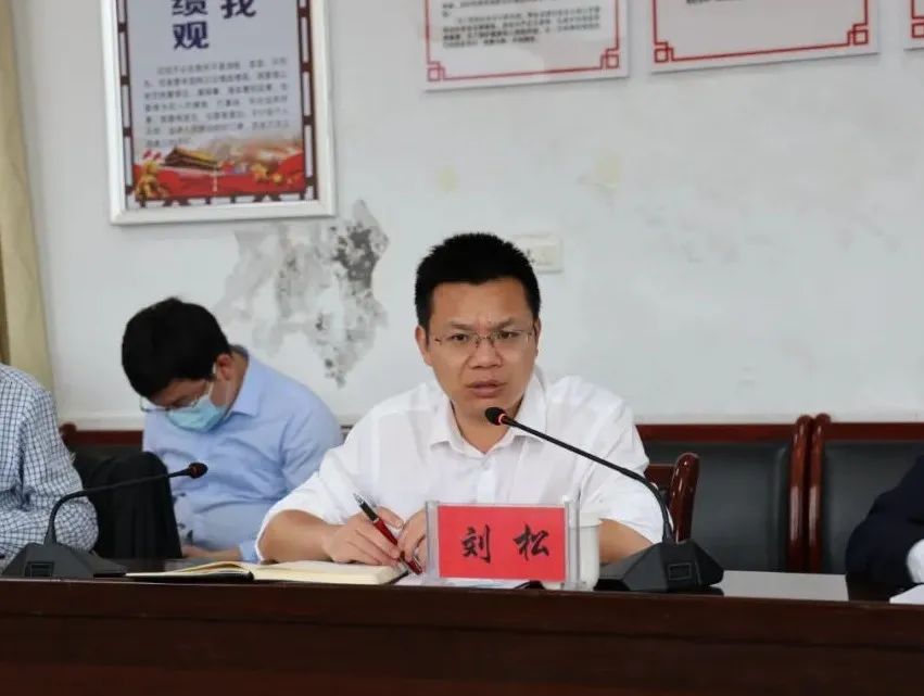 区领导来到青山镇调研乡村振兴和美丽村庄建设工作