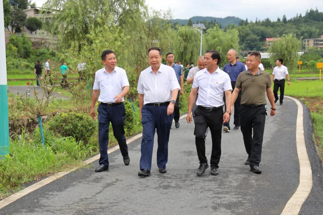 省人大常委会委员农委主任委员刘金接一行来到青山镇开展种业发展情况