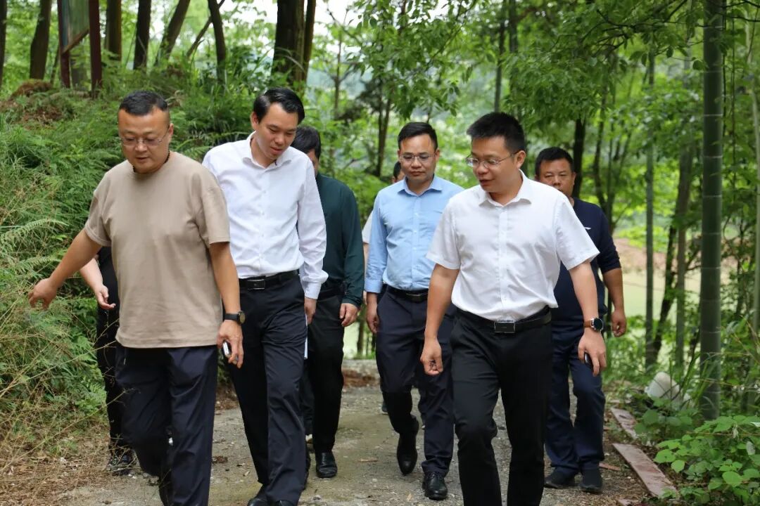 副区长刘松来到青山镇调研美丽村庄建设工作