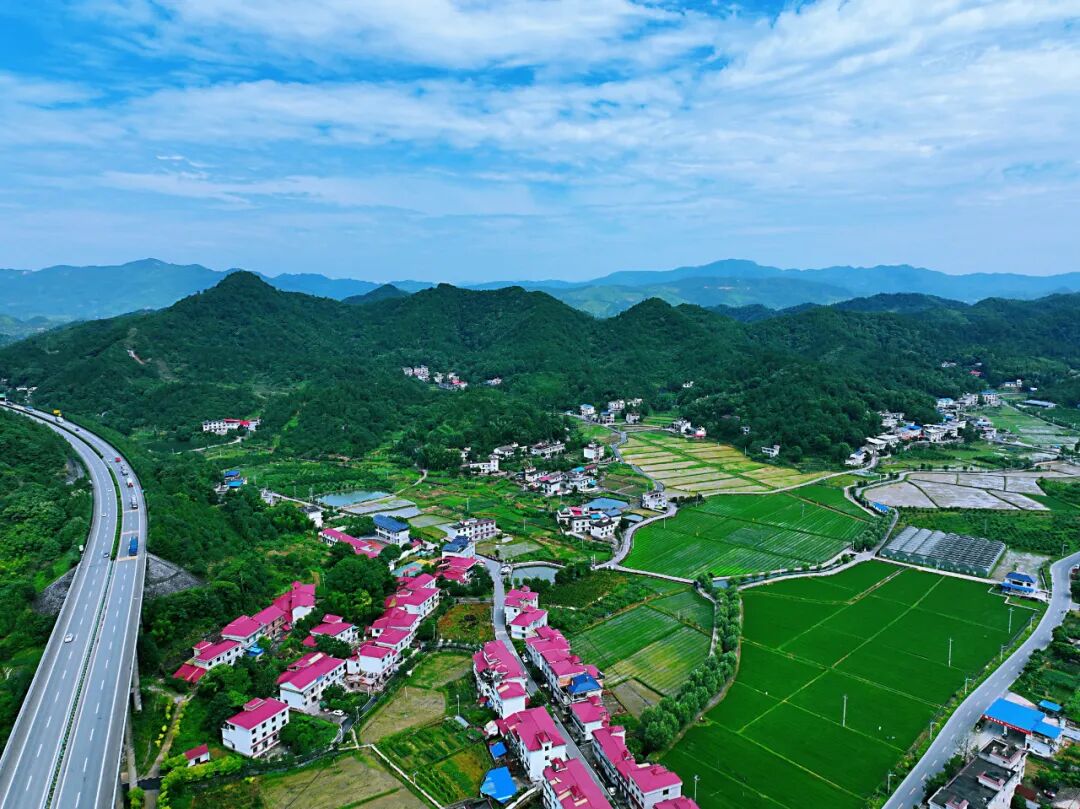 生态美镇青山绿水夏日乡村入画来