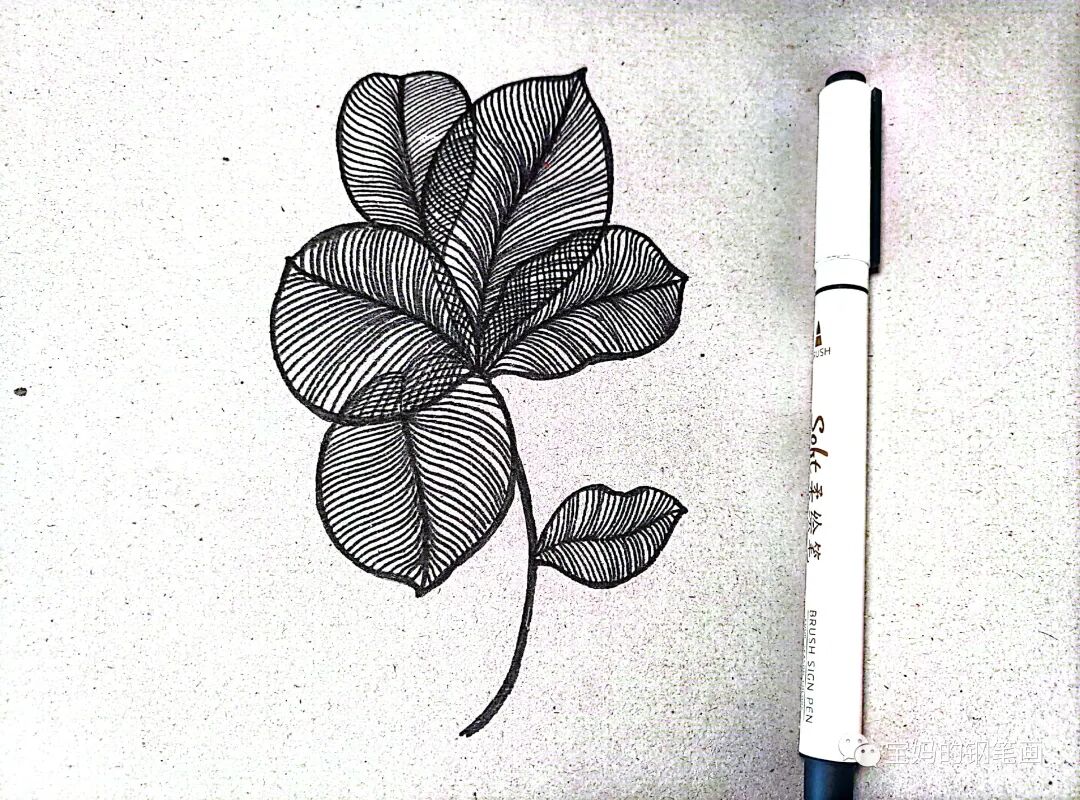 好看的线描画 每天练一幅 热点讯息网