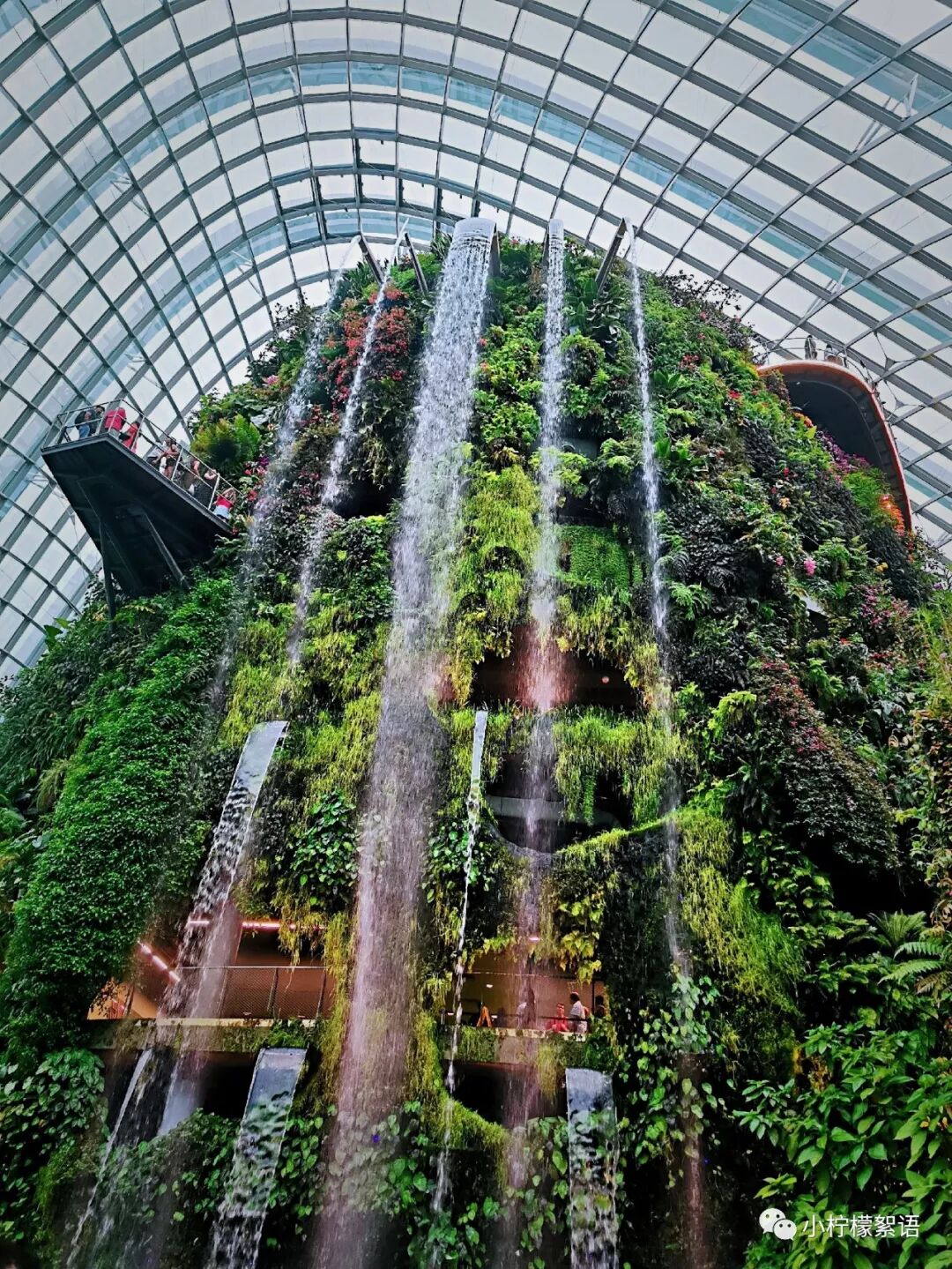 新加坡旅游tips和购物心得红宝书 小柠檬絮语 微信公众号文章阅读 Wemp