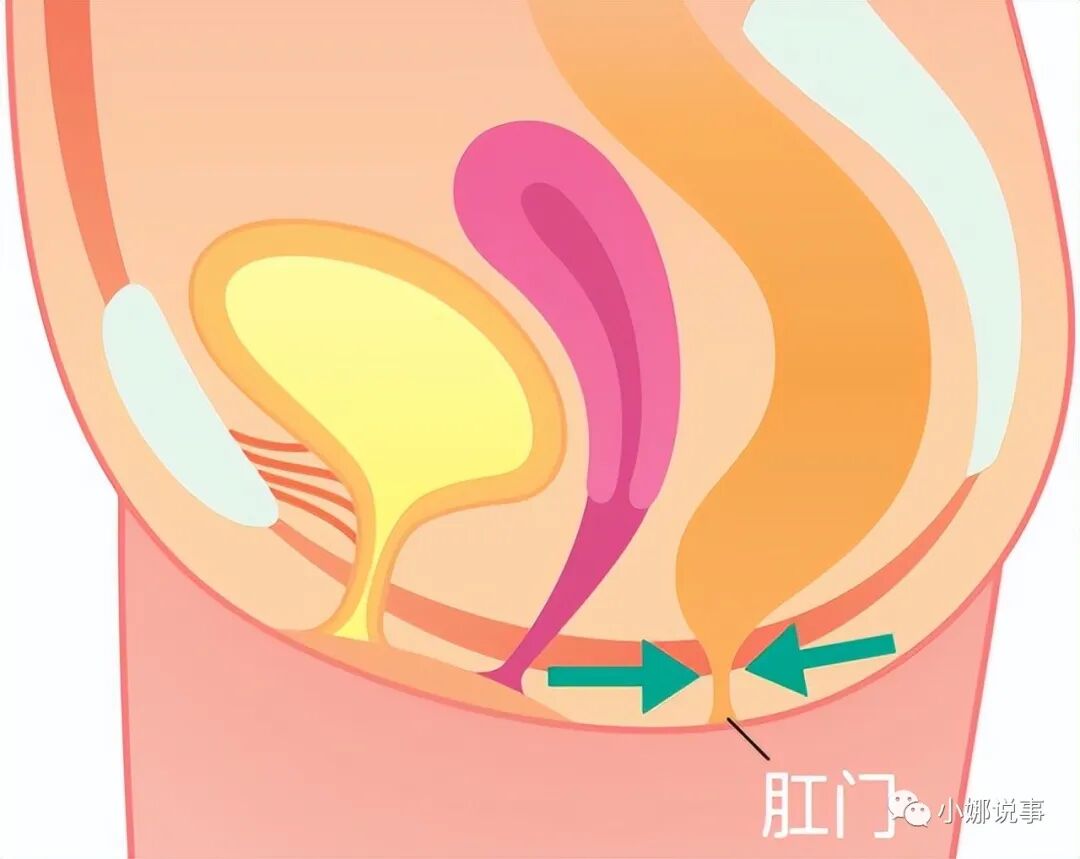 冲洗肛门用什么喷头你有“洗肛门”的习惯吗？这样做对身体有哪些影响？早了解早受益-上海聚慕医疗器械有限公司