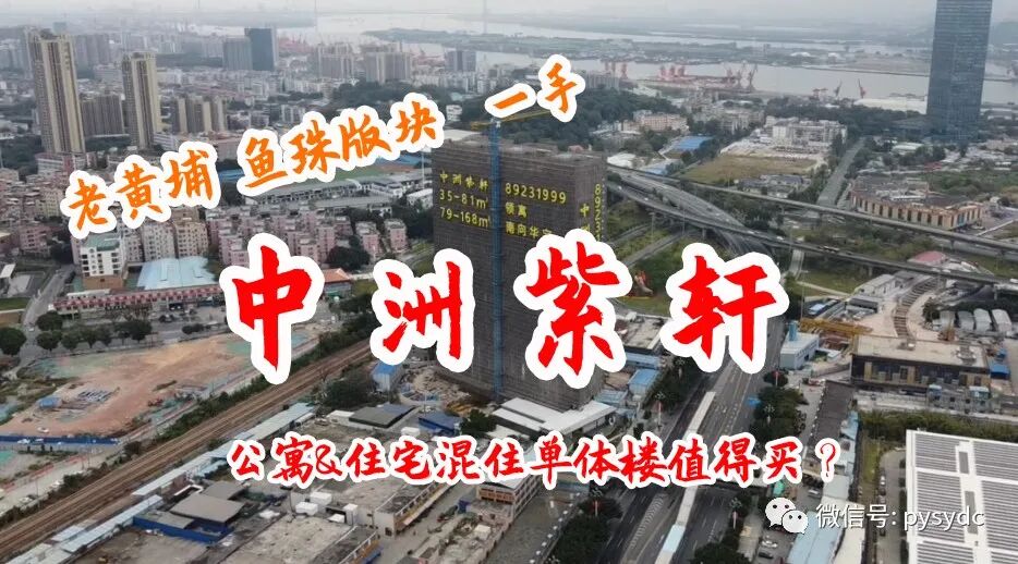 中洲紫轩鱼珠版块住宅公寓混住单体楼值不值得买 热点讯息网