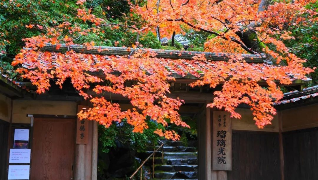 艳遇京都 让这些红叶盛景 惊艳平成最后的秋天 赞那度旅行人生 微信公众号文章阅读 Wemp