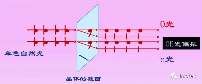 FRED应用：双折射材料温度敏感性分析的图1