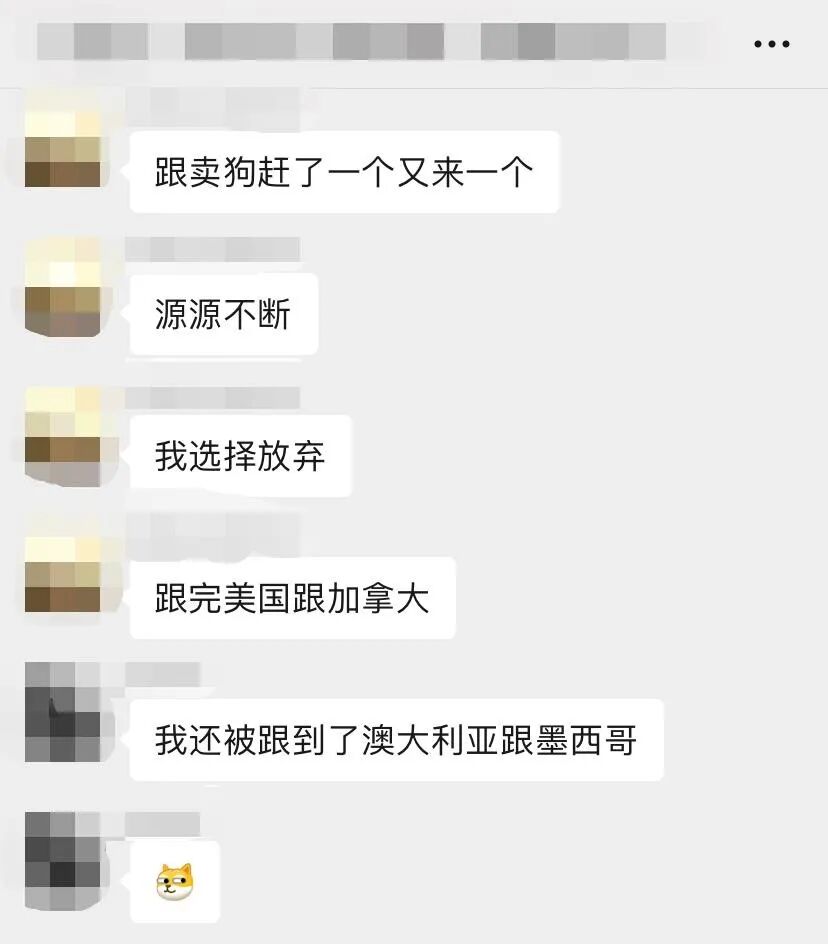屡试不爽的赶跟卖新杀招！成功率100%？关键在于…