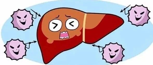 脂肪肝“戒晚餐”就行了？它最大的敌人不是肥胖，而是这4个！