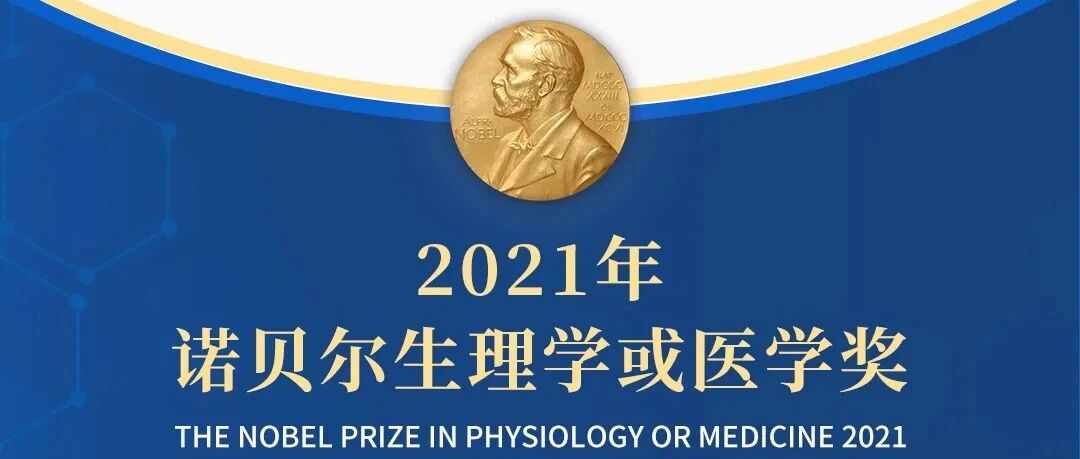 与你的触觉有关！诺贝尔生理学或医学奖揭晓