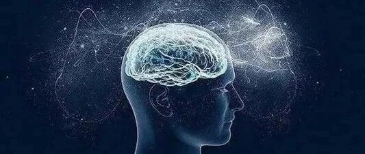 35岁之后大脑开始衰老！关于大脑的这10个真相，一定要牢记！