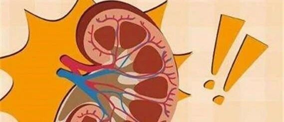 肾不好，是因为纵欲过度吗？小心这些特征出卖了你....