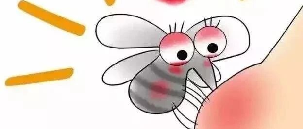 中国疾控中心教你如何防控登革热？