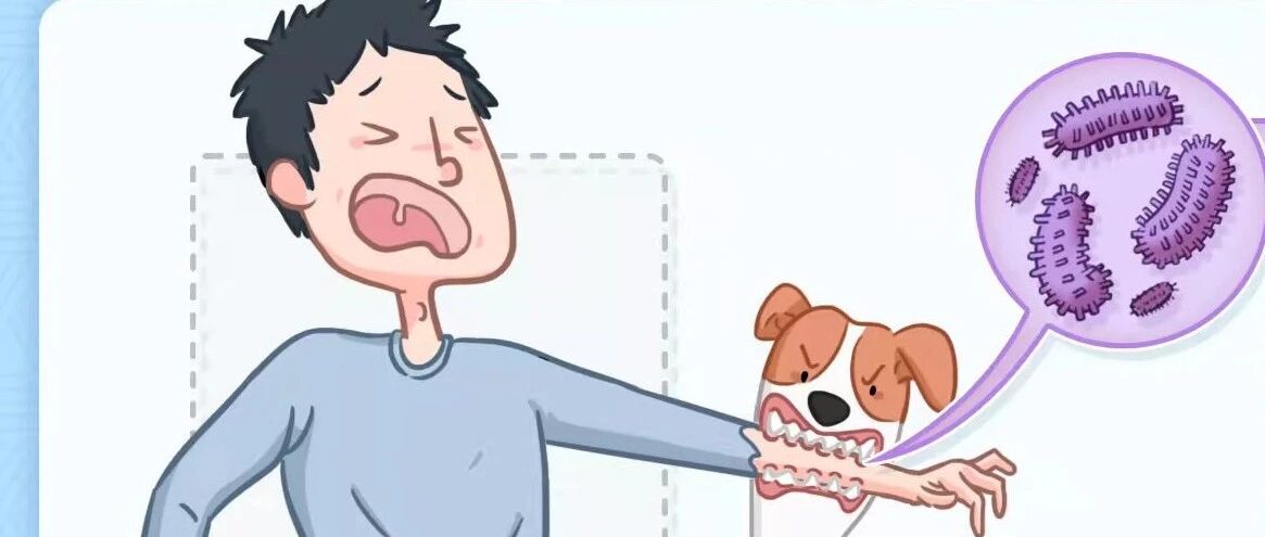 不小心被狗咬伤怎么办？你最关心的11个问题来了！