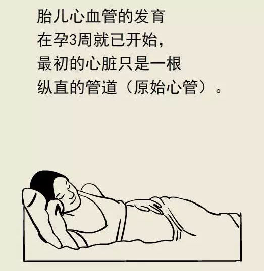 科普漫畫丨什麼是先天性心臟病？ 親子 第14張