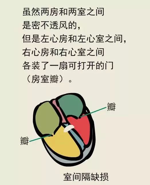 科普漫畫丨什麼是先天性心臟病？ 親子 第17張