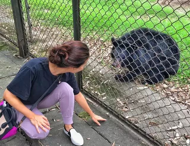 混血几代就不明显_混血儿下一代会有问题吗_混血到第几代没有了