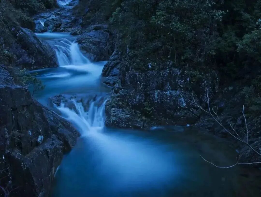 诗画仙居徐小凤摄影展丨淡竹二