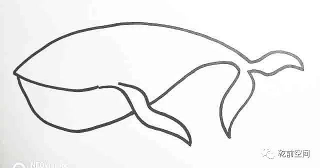 生物世界指什么生肖_生物世界之最大全_世间最大的生物