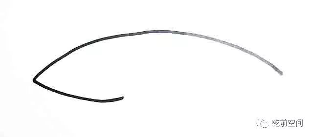 世间最大的生物_生物世界之最大全_生物世界指什么生肖