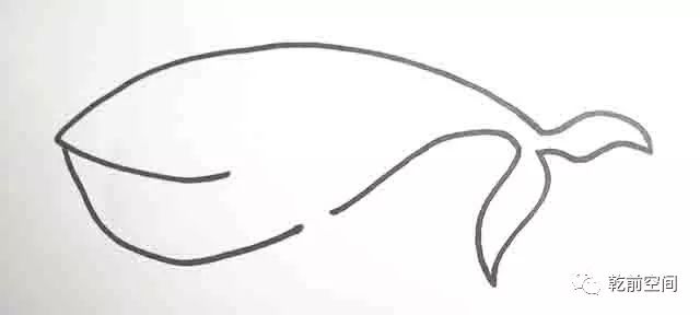 生物世界指什么生肖_世间最大的生物_生物世界之最大全