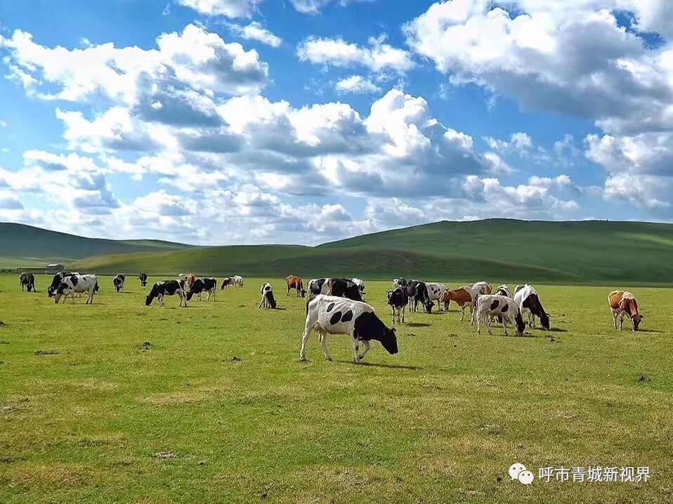 中国内蒙古禁止比特币开采：对行业意味着什么