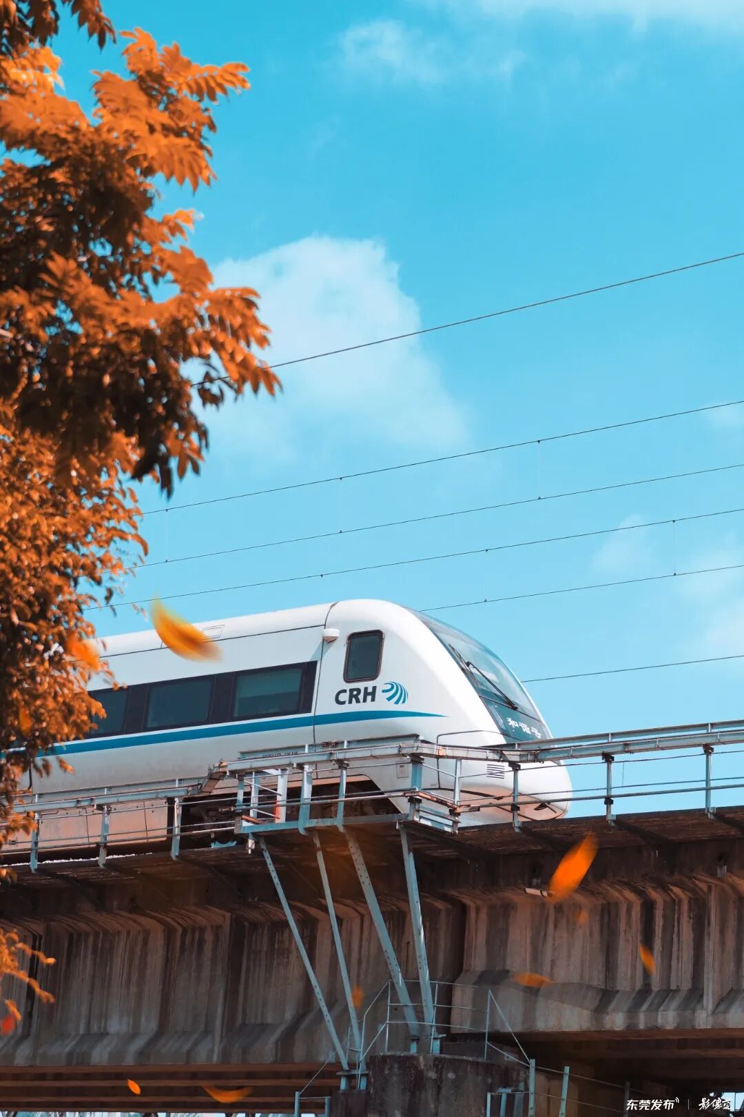 摄影：陈奕斌/影像莞