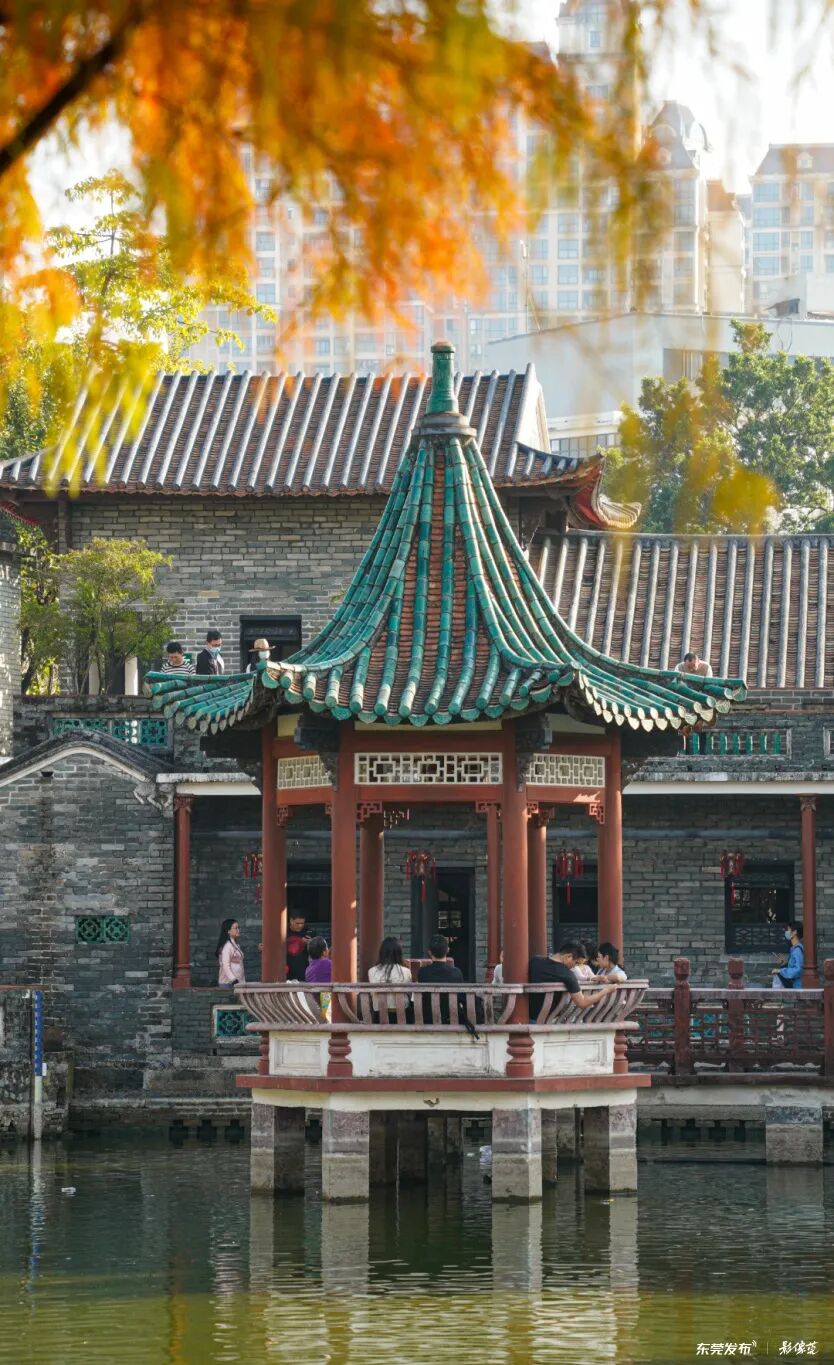 摄影：杜彬炜/影像莞