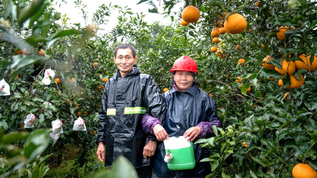 致富项目实用_致富项目小本生意_致富经项目