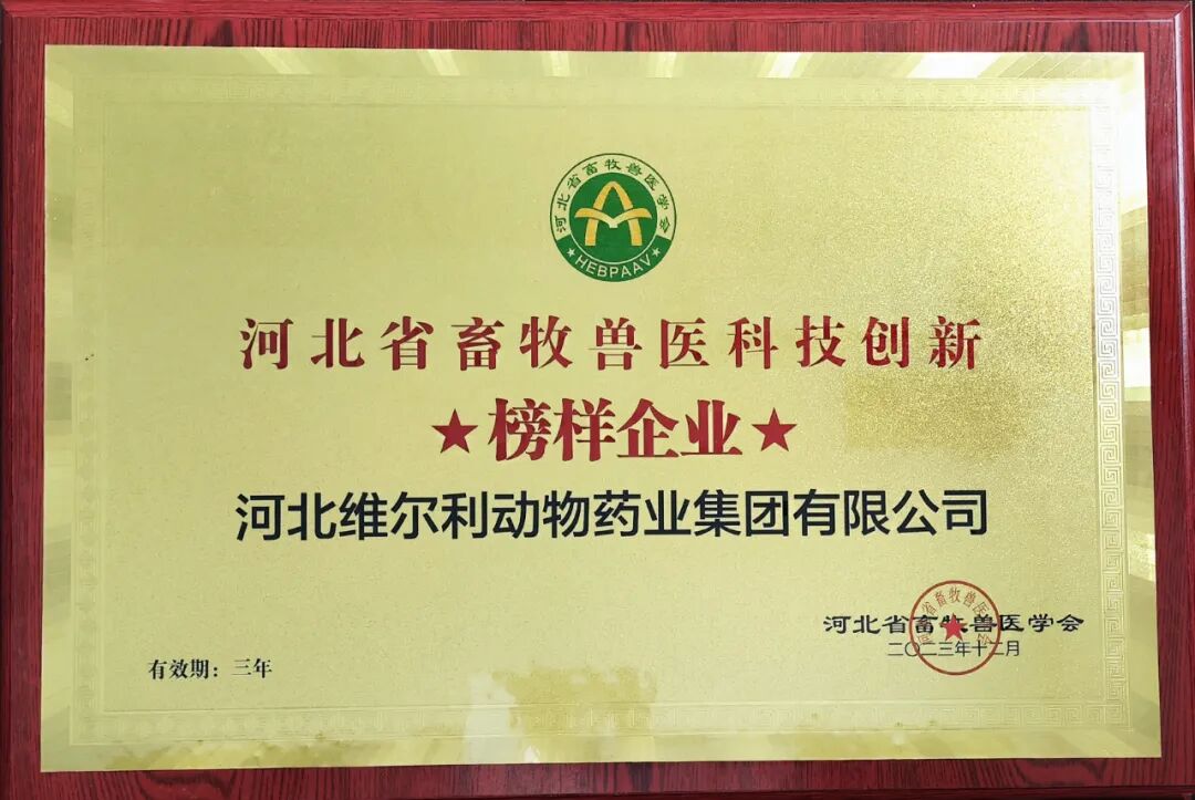 人才招聘等一下维尔利在招人你确定不发简历试试吗