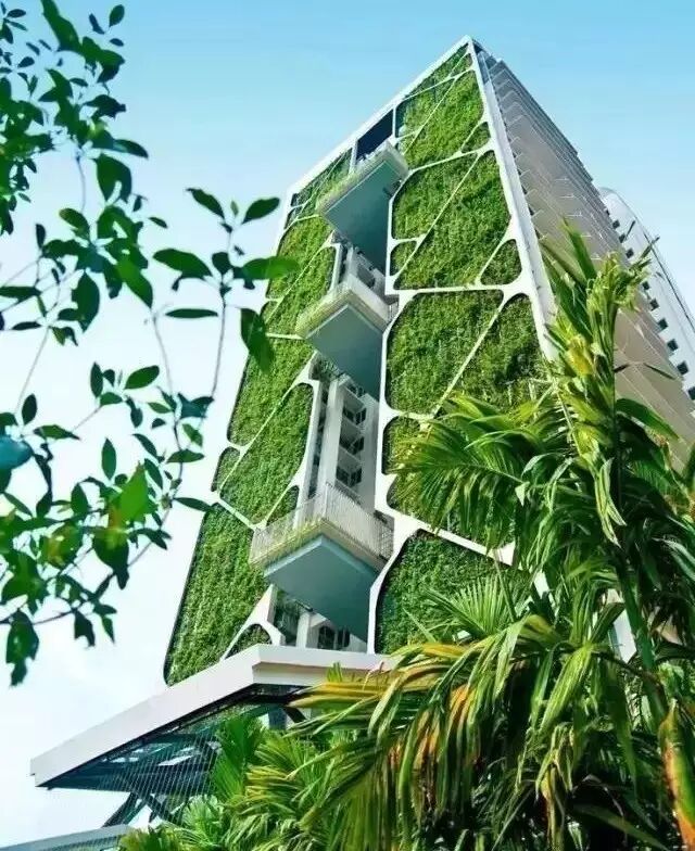 给钢筋水泥的丛林中撒点绿!