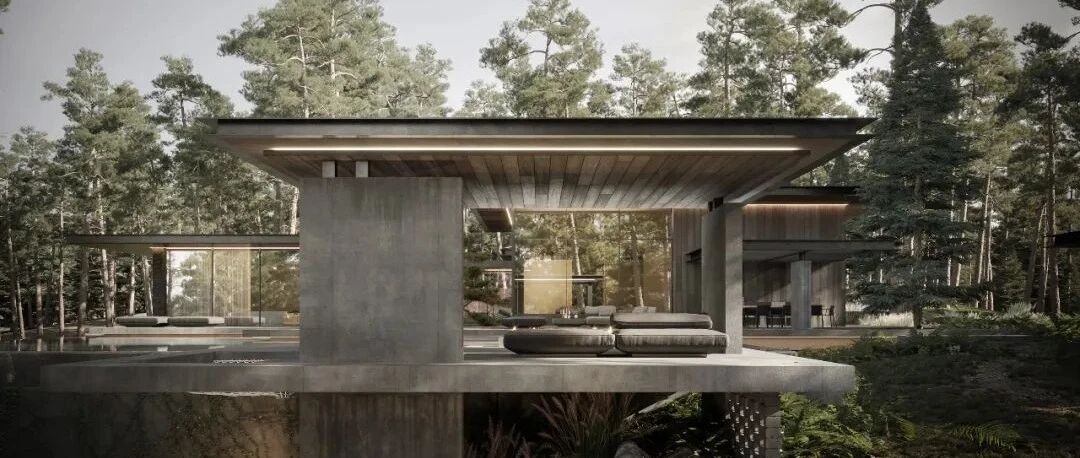 居住在森林，赛过活神仙！